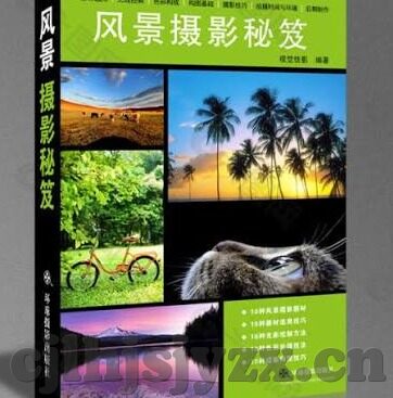 91麻豆精品网-详解91麻豆精品网，网络文化的双刃剑